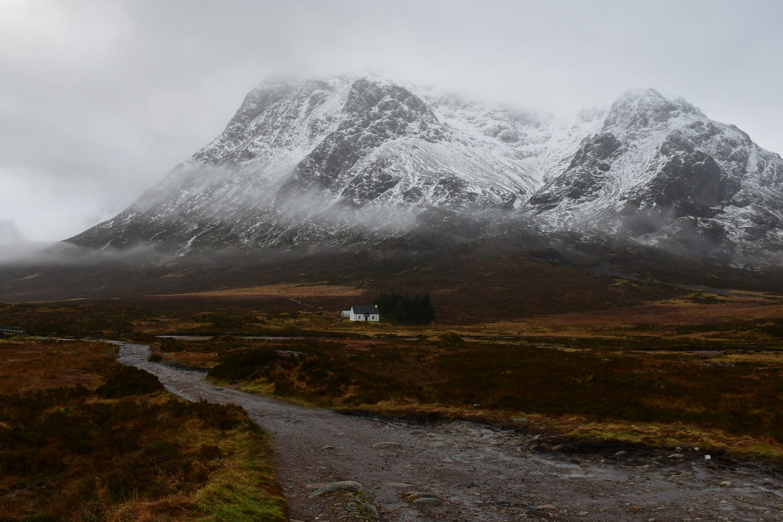 1. Wee White House of Glencoe