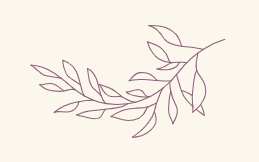 Capture d’écran 2025-10-28 à 15.57.56