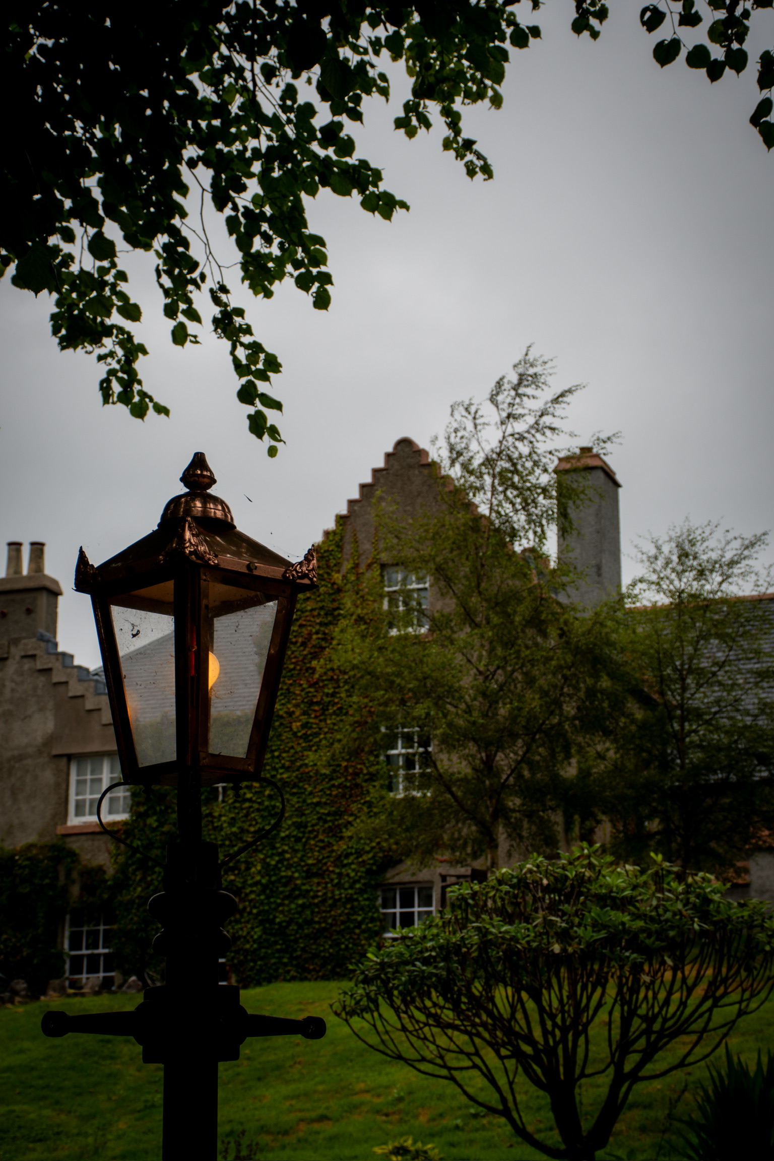DSC_9486 DSC_9486